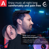 Alpine MusicSafe Pro Earplugs