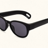 ViceRays Stash Sunglasses - High Roller