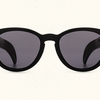 ViceRays Stash Sunglasses - High Roller